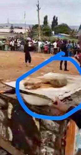 22281546_797429310438155_4532055375947403963_n